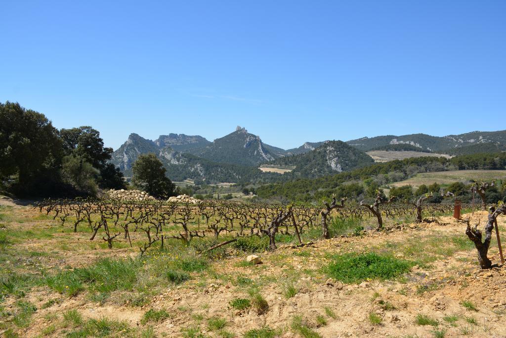 Mas De Carabelle Bed and Breakfast La Roque-Alric Eksteriør billede