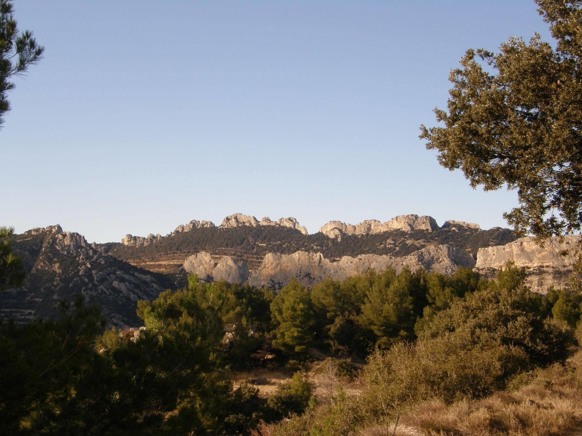 Mas De Carabelle Bed and Breakfast La Roque-Alric Eksteriør billede